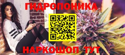 скорость Бийск