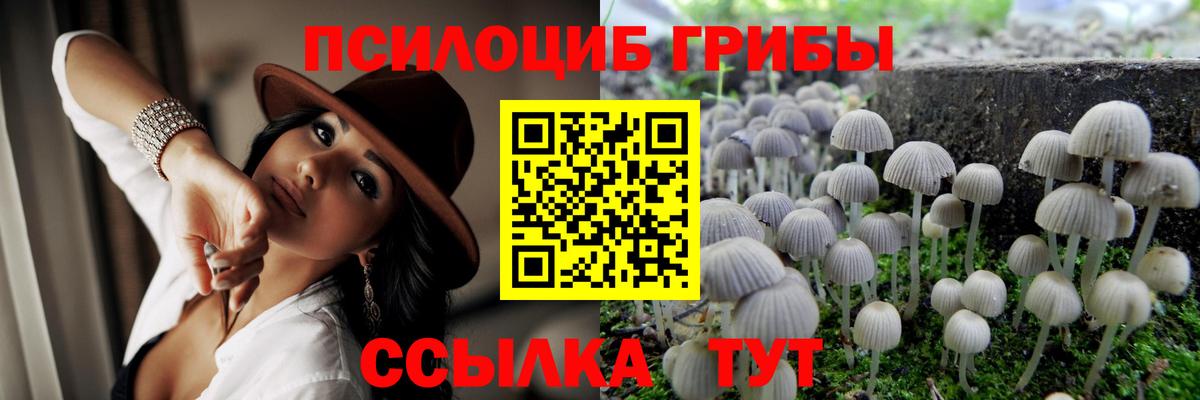 Когалым  Галлюциногенные грибы ЛСД  Вход с VPN 